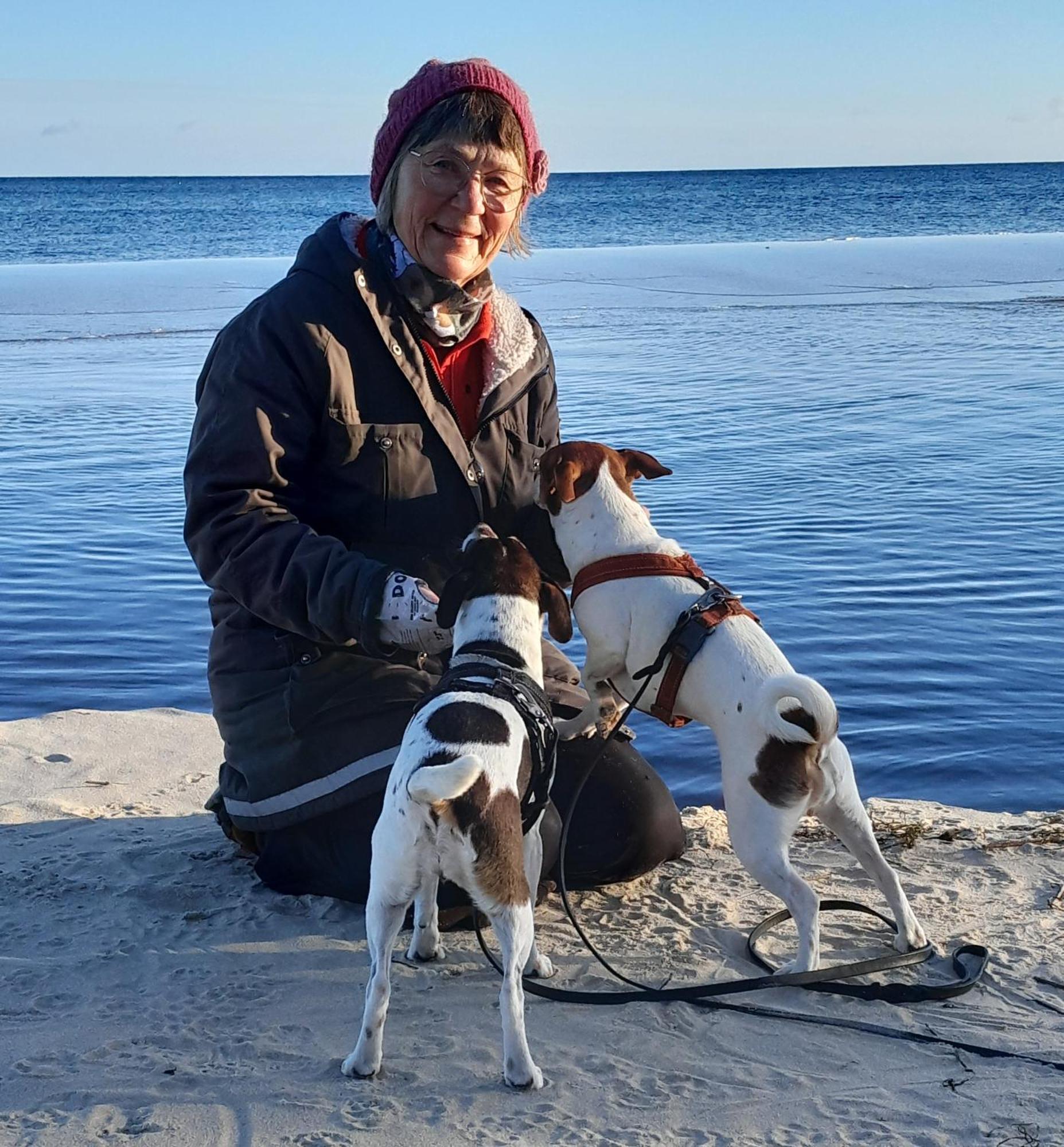 Broesarp Kaellagarden Stora Gardslaegenheten Luaran gambar